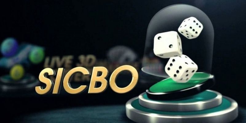 Đặc điểm chung trong tài xỉu online 33WIN